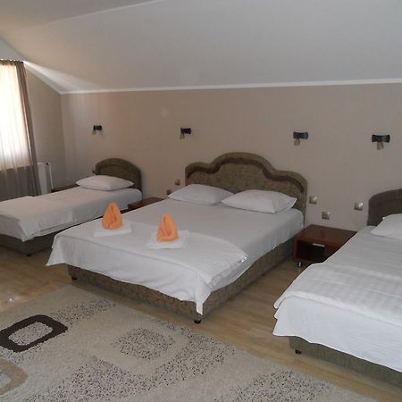Guest House Vila Bor Novi Sad Exteriér fotografie