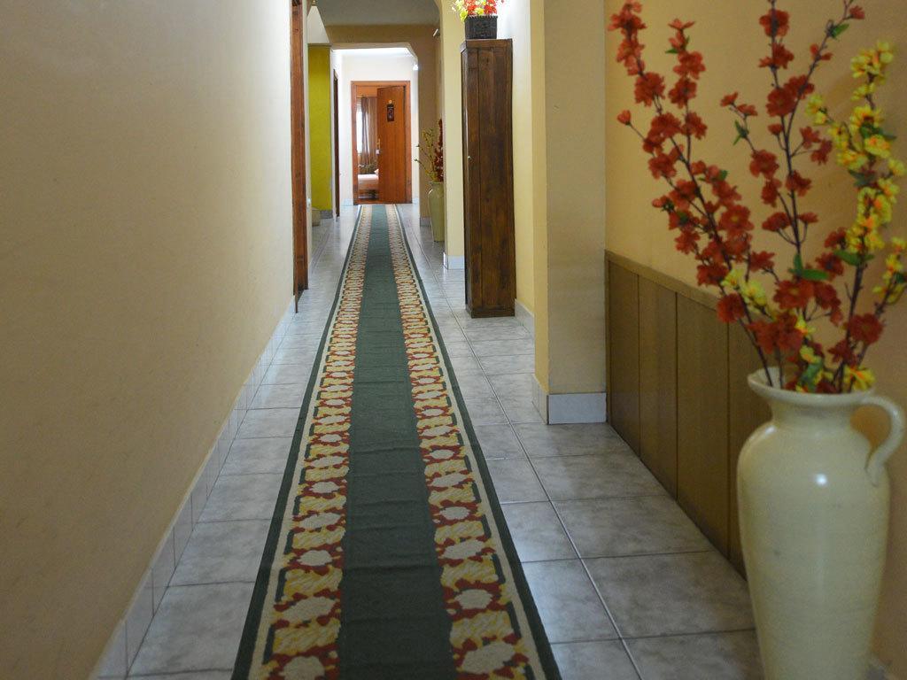 Guest House Vila Bor Novi Sad Exteriér fotografie